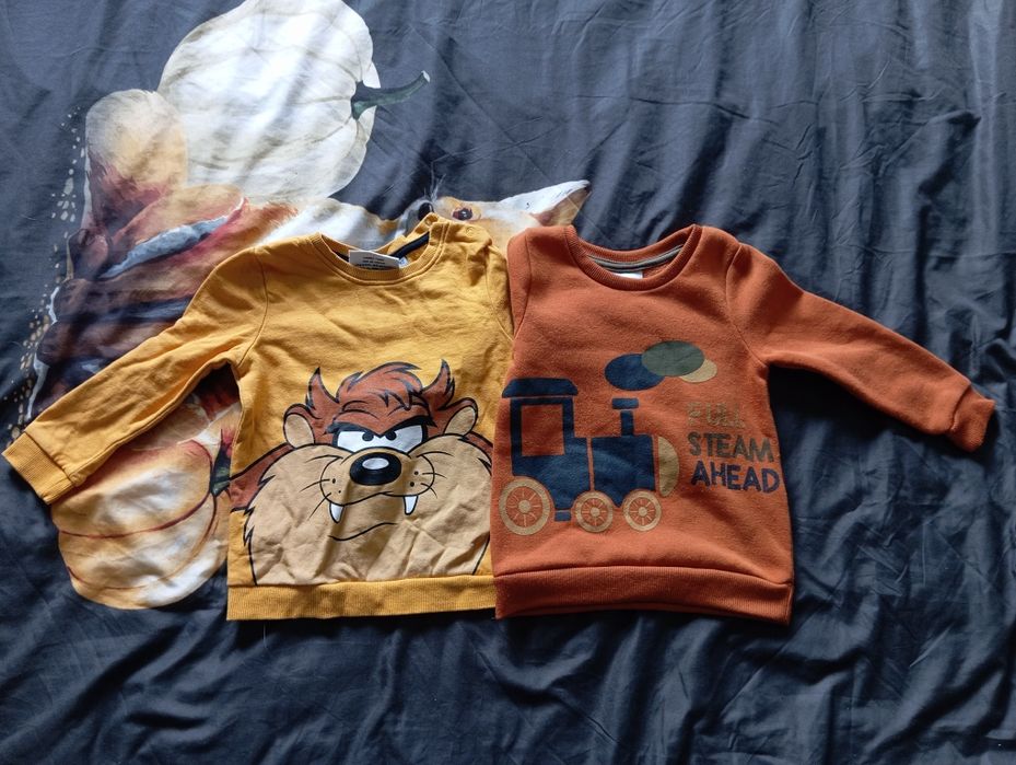 Ciuchy chłopięce rozm. 86/92 (13 szt.)