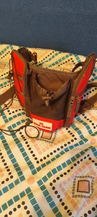 Pas nerka na wycieczki z psem.