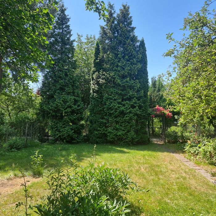Działka w ROD Sasanka w Warszawie. pow. 430,00 m² z dogodnym dojazdem komunikacją. - Widok 3