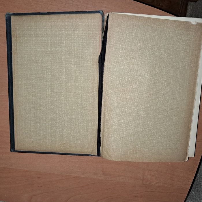Антикварна книга Бєлінський, Йогансон, Одеса, XIX ст.