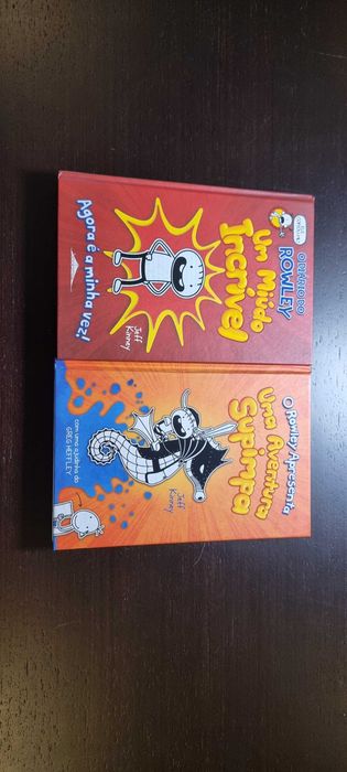 Livros infantis  Rowley, Minecraft e outros