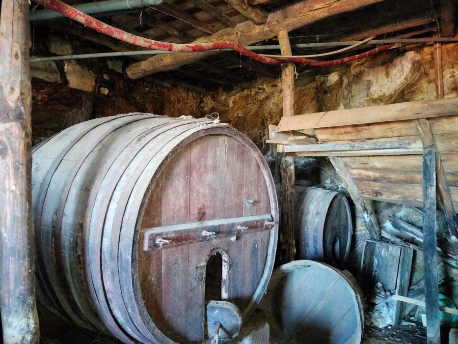 Pipas de Vinho em Madeira