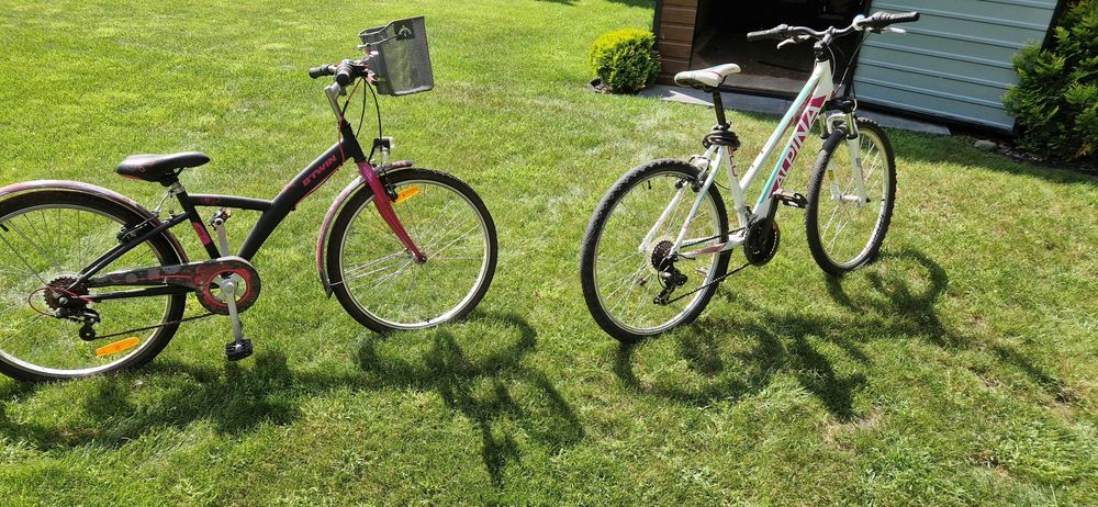 Dwa rowery Alpina oraz Btwin