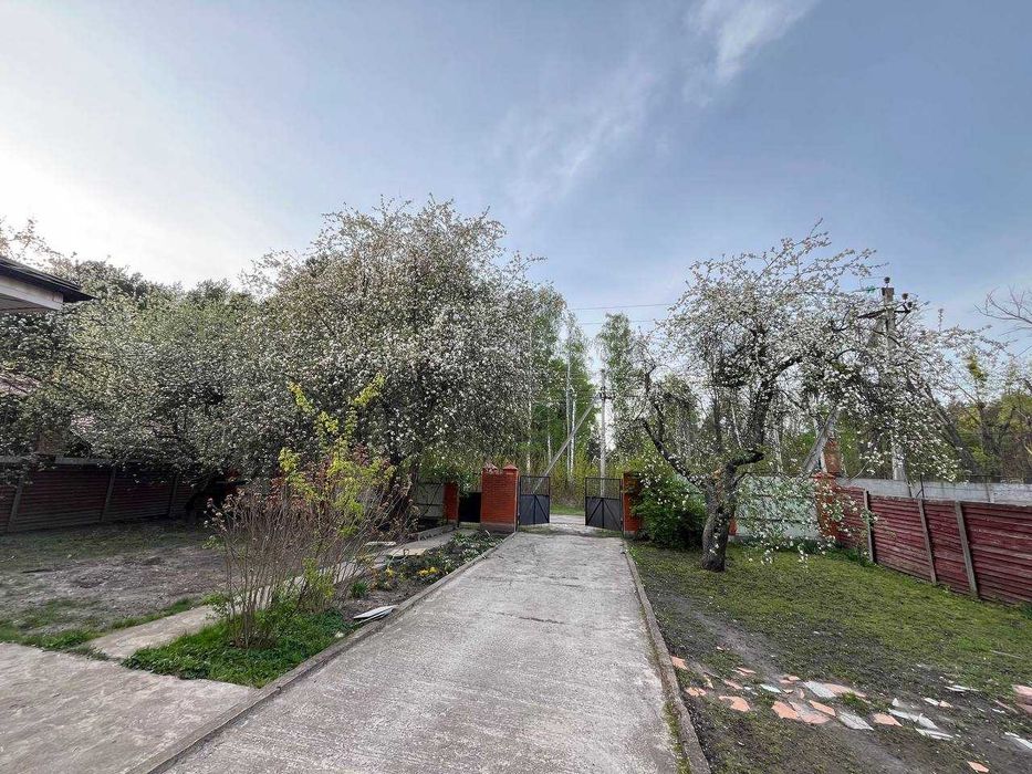 House in Stari Petrivtsi - View 3