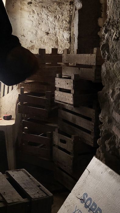 Caixas de fruta madeira