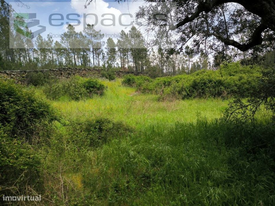 Terreno murado e com poço