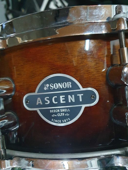 Werbel Sonor Ascent beech (buk) 14x5