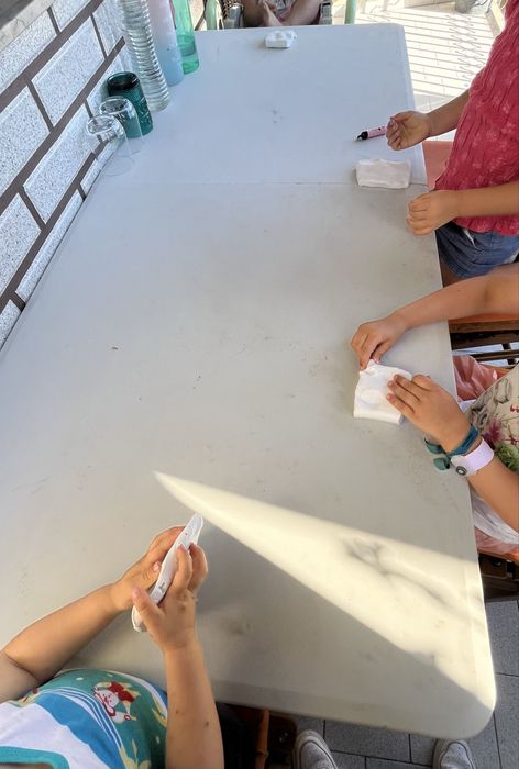 Babysitter Programa de Atividades de Verão