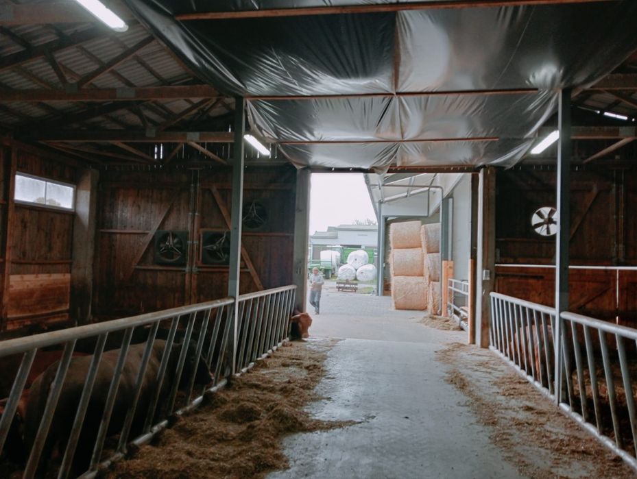 Sprzedam Chlewnię do rozbiórki