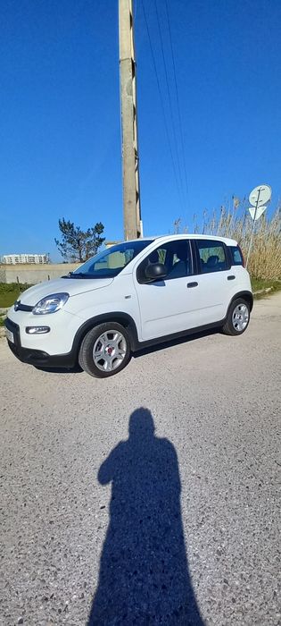Fiat panda 1.0 híbrido