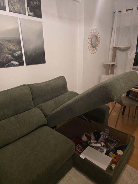 Sofá Cama - Gato preto verde