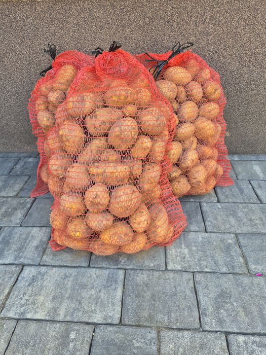 Ziemniaki Jurki 15kg