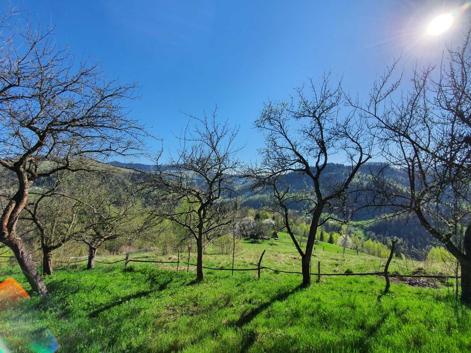 Продам землю в Яворові: 3 га та 25 соток