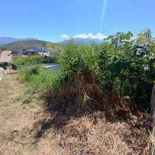 Serviços de limpeza de Terrenos