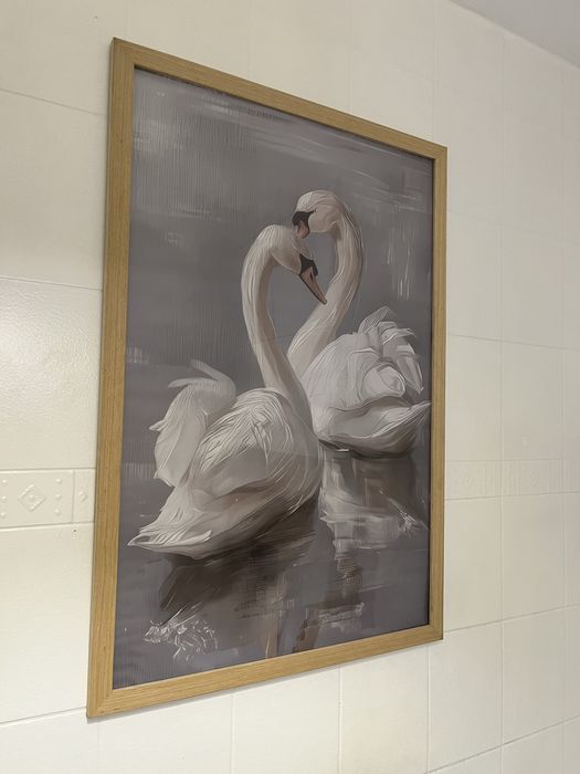 Obraz łabędź 95x65
