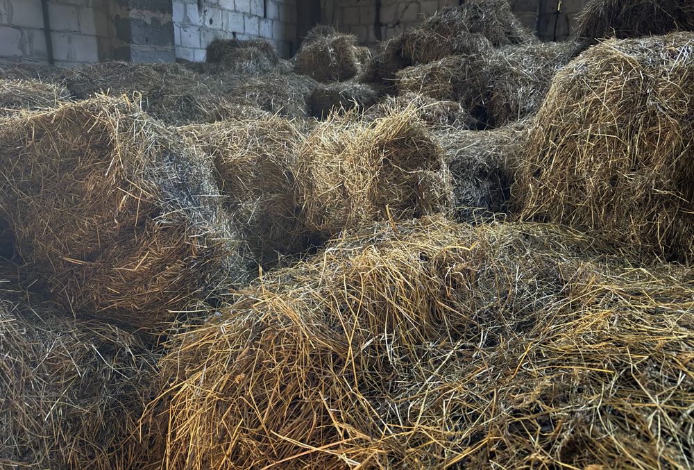 siano/słoma/bale