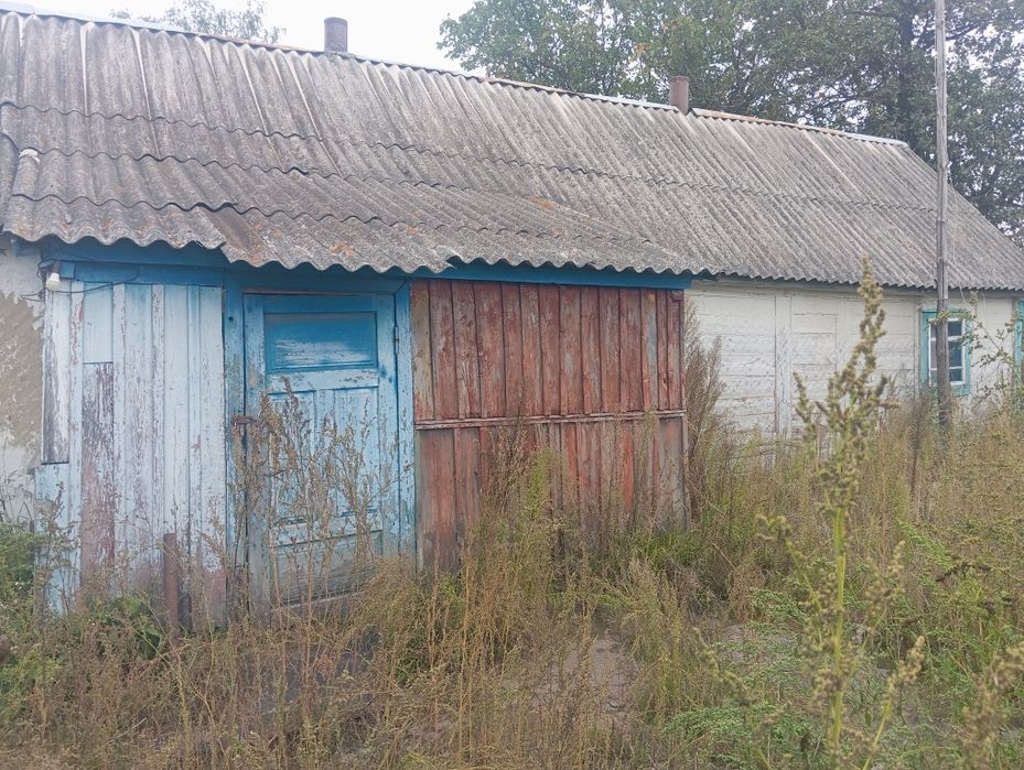 продається будинок в селі сімаківка