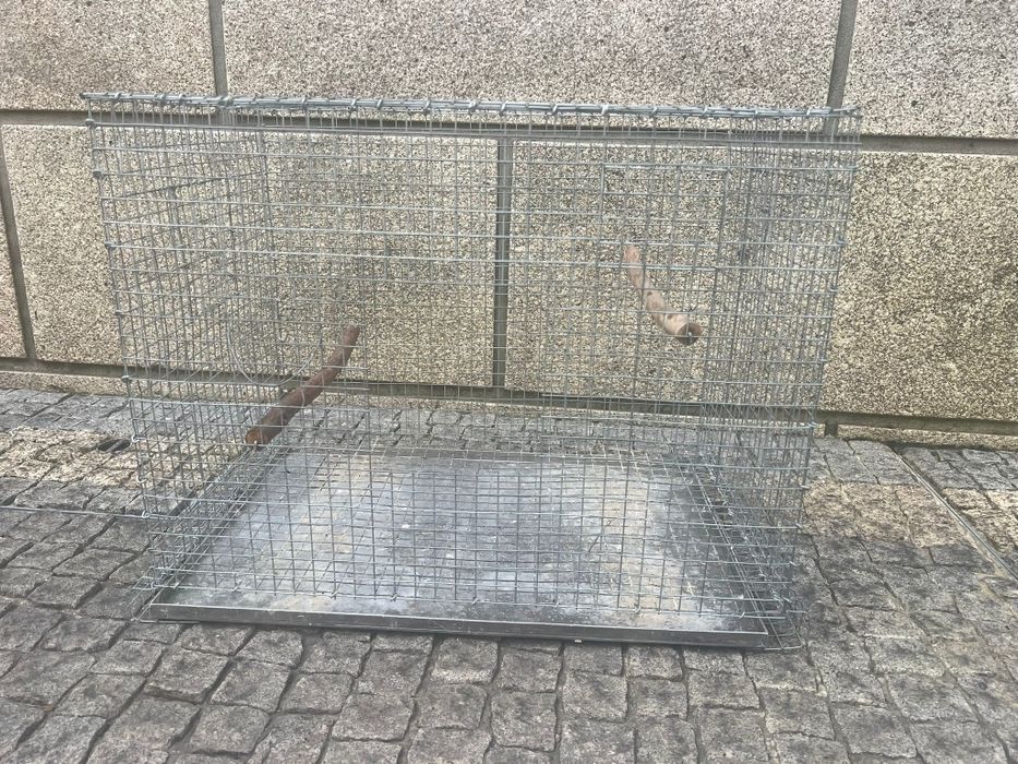 Gaiolas para aves