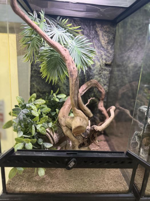 Терраріум та обладнання для хамелеона, гекона, ігуани, пітона, полоза