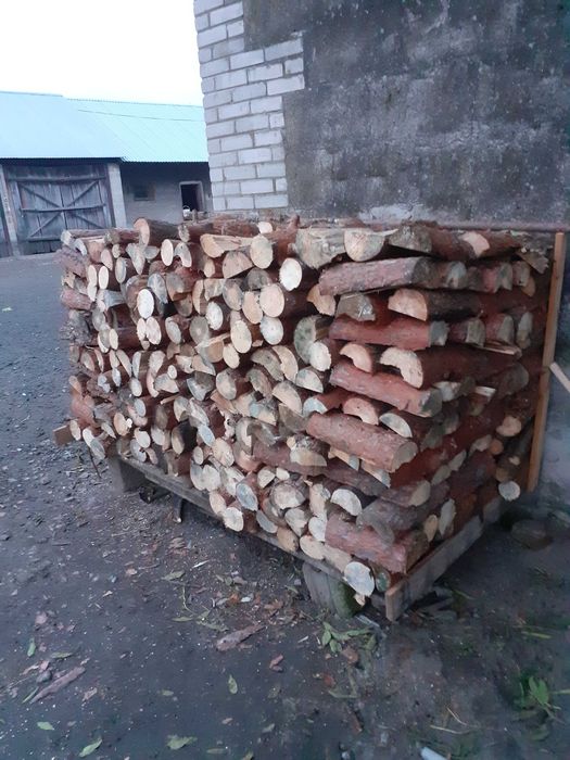 drzewo opałowe suche