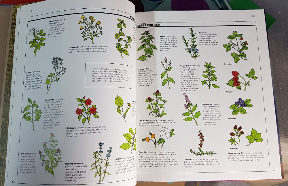 The Family Creative Workshop