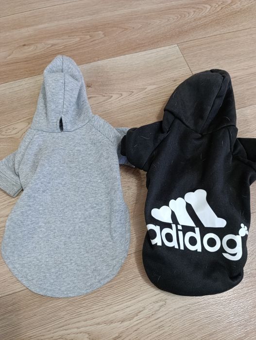 Одяг для чіхуахуа