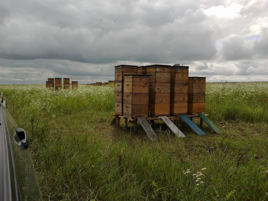 Продам вулики, без бджіл. Повний комплект