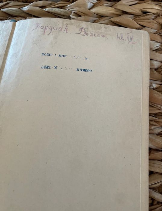 Karin i Lila  Jo van Ammers Küller przeł. Zofia Glarska [1938]