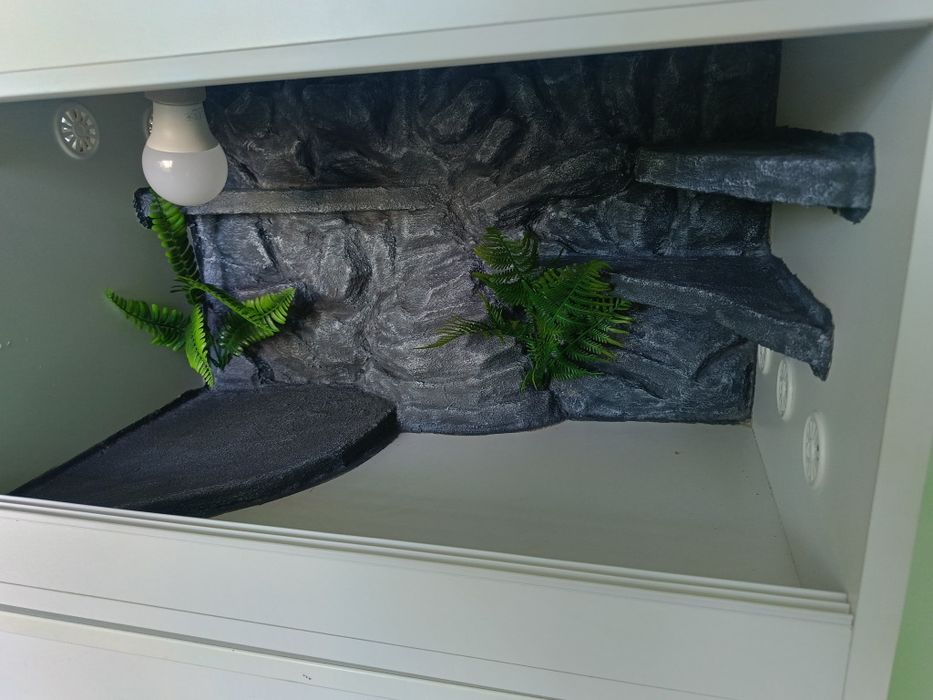 Terrarium drewniane 60x40x40