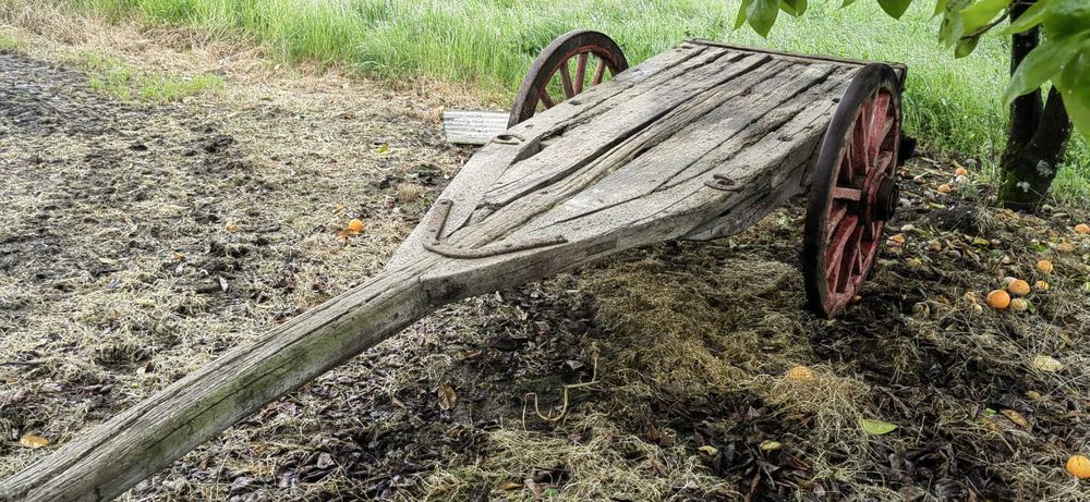 Carro de bois antigo