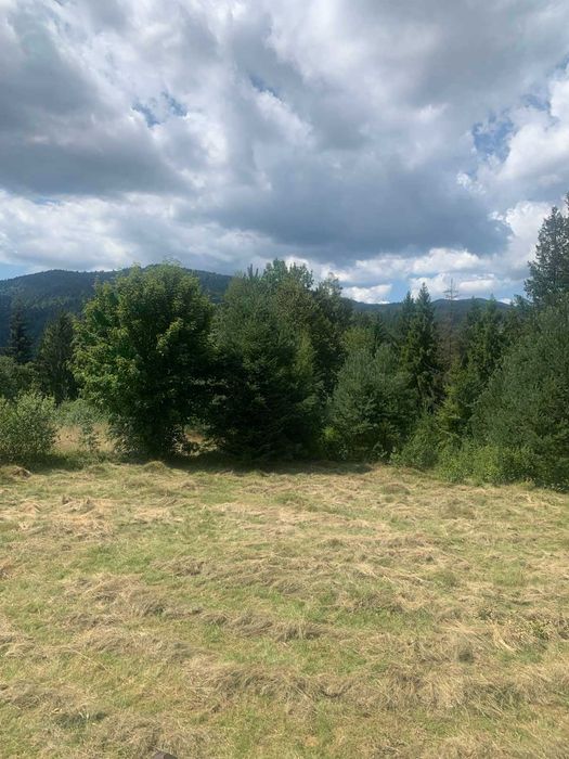 Дерев’яний будинок з панорамним видом на гори | автономне живлення