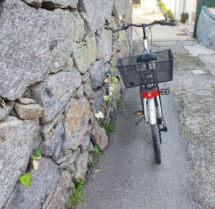 Bicicleta unisexo