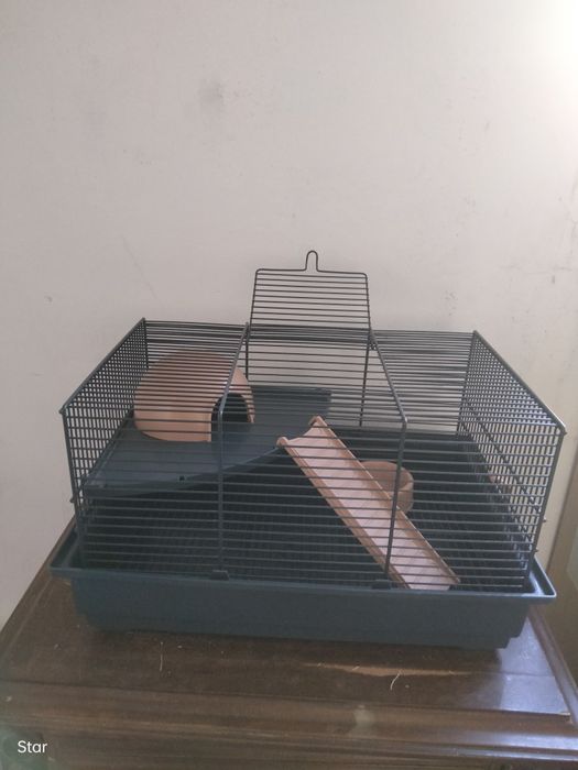 Gaiolas em ótimo estado para hamsters