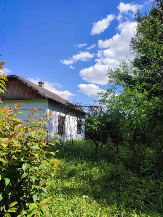 Будинок з земельною ділянкою