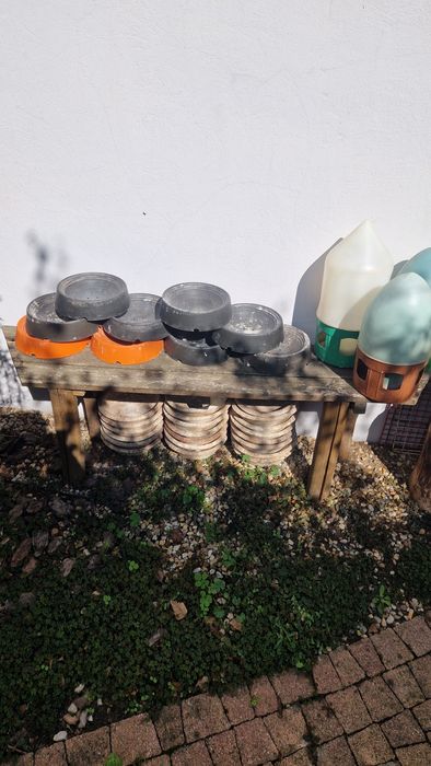 Karmnik dla golebi miski