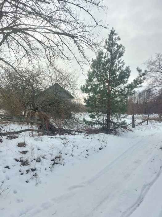 З оформленням !!!Продаж ділянки під будівництво Воропаїв Вишгородський