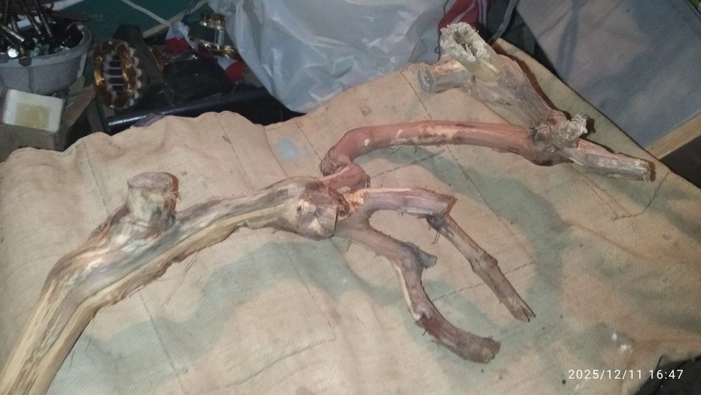 Коряги в аквариум, терариум