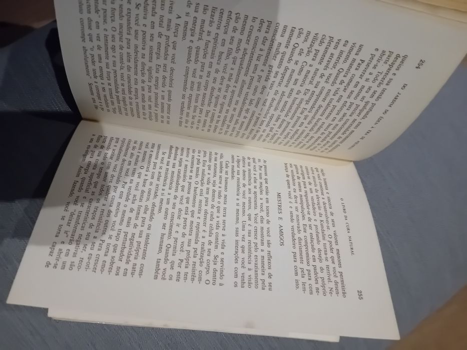 O Livro da Cura Natural - Greg Brodsky