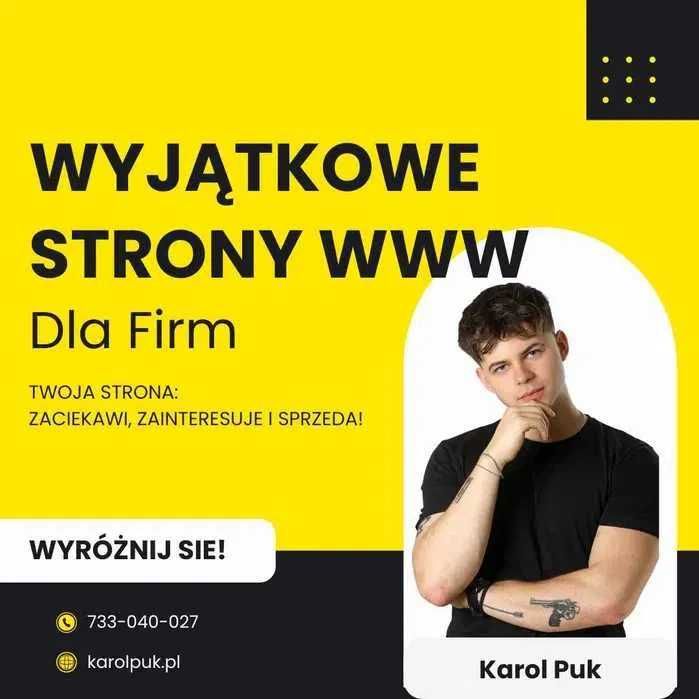 Wyjątkowe strony internetowe WWW | Sklepy internetowe które sprzedają WordPress WooCommerce | Strony dla firm i wizytówka | Projekt, wdrożenie, SEO