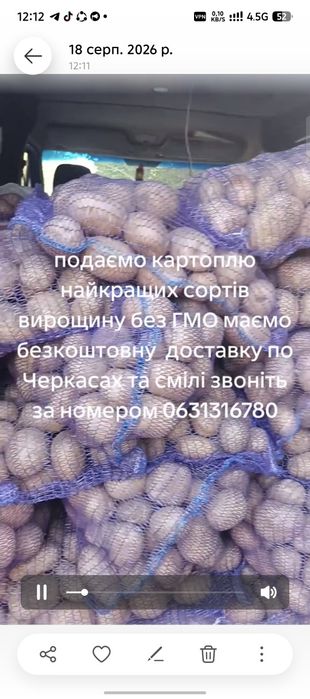 Продам картоплю найкращих сортів 18 та  цибулю