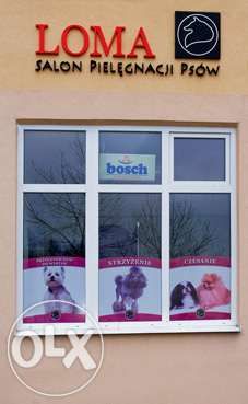 Kurs groomerski, kurs groomingu - strzyżenie, pielęgnacja psów Kielce