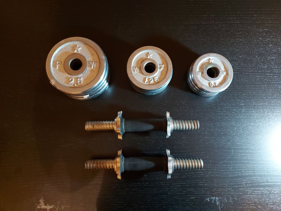 Conjunto de halteres