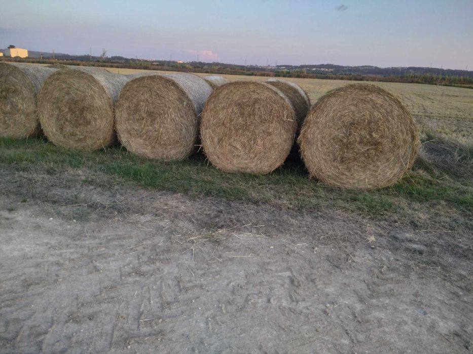 Fardos de Palha  Arroz