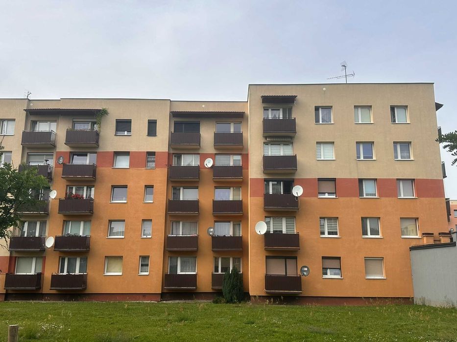 Zdjęcie 8