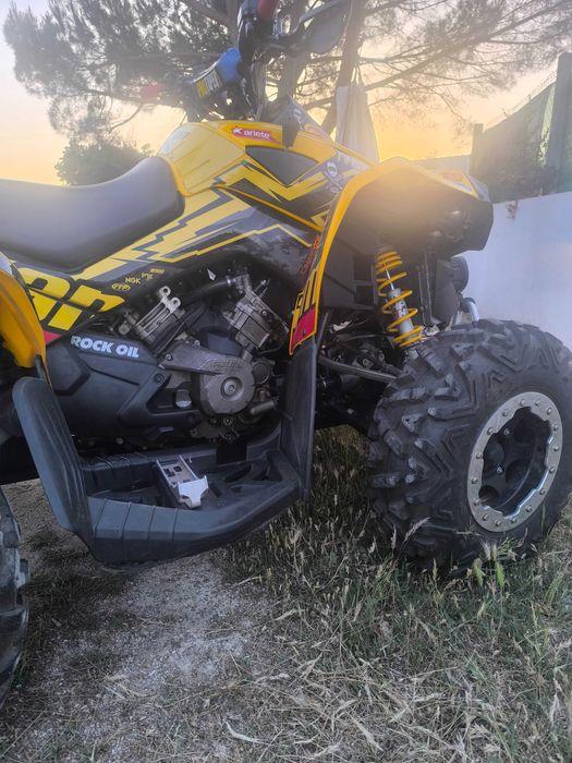 Can Am 800 Renegade
