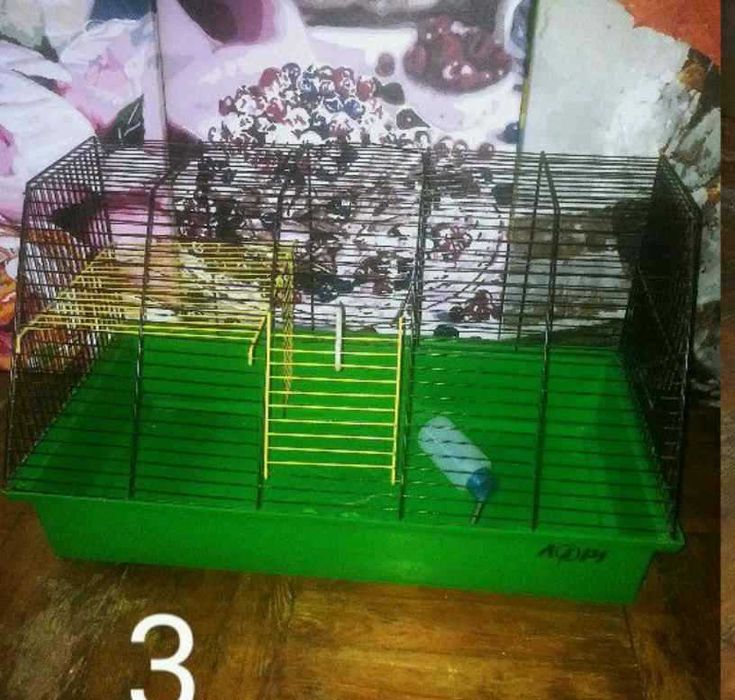 Клетка для морской свинки