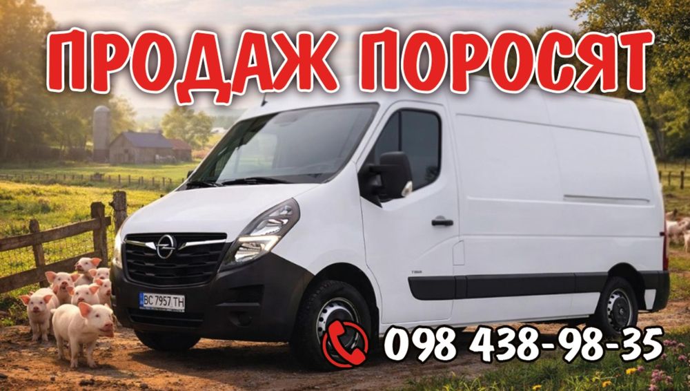 Продаж Поросят Різних