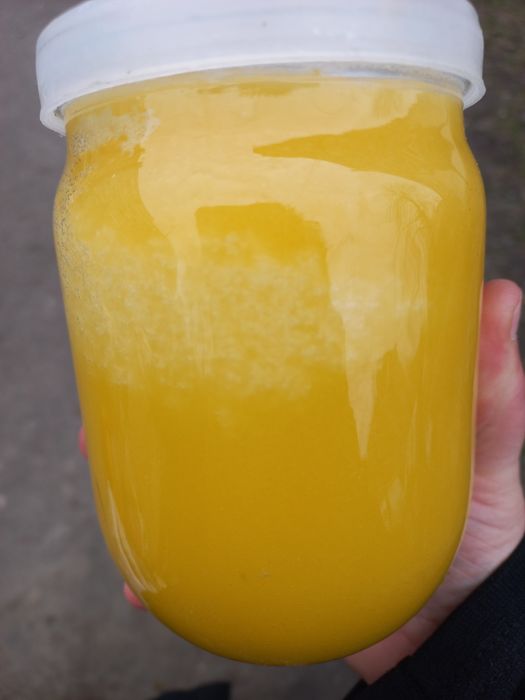 Продам мед  2025р.різнотрав'я