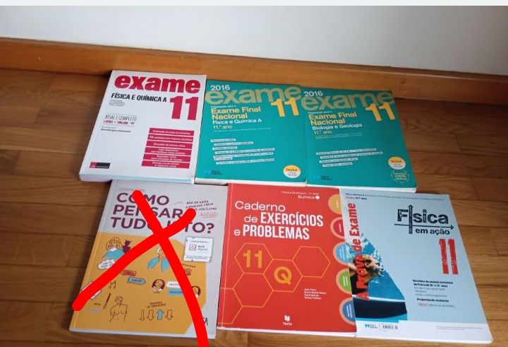 Manuais e cadernos de atividades 11ºano