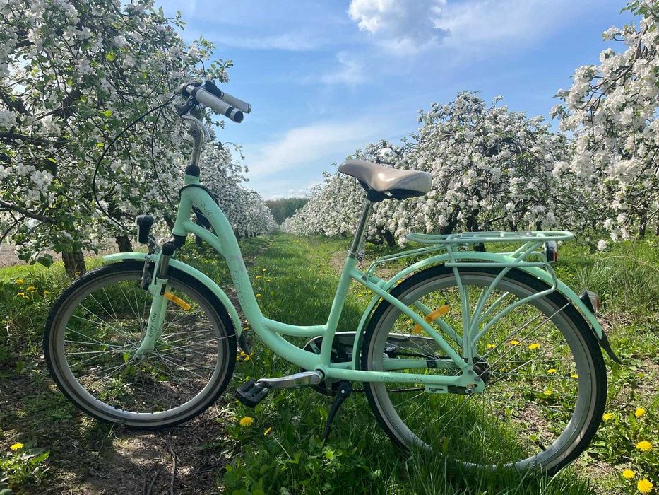 Rower miejski storm 26